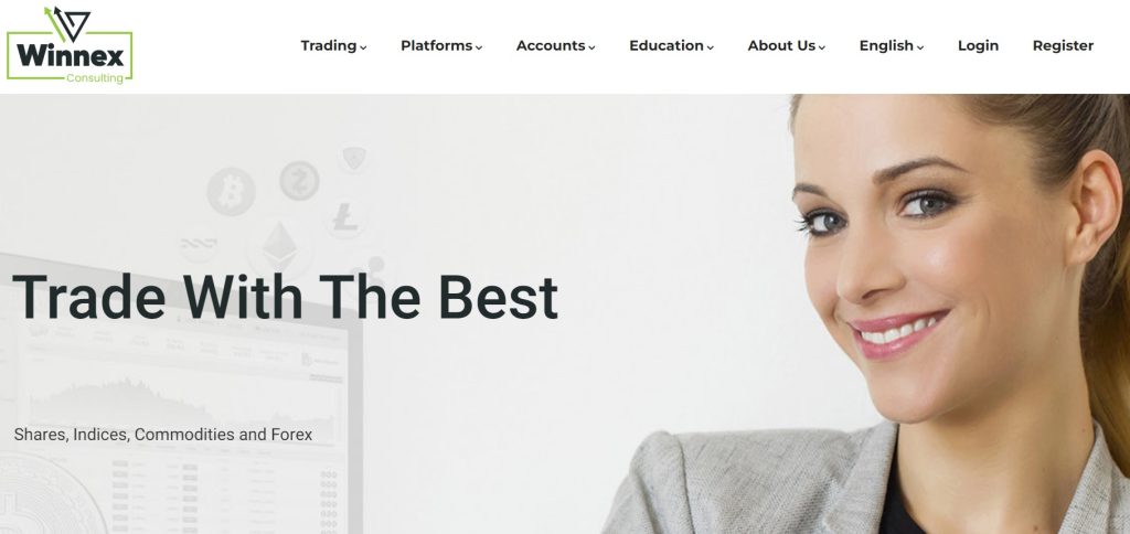 Winnex Consulting Website