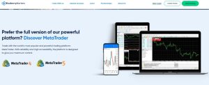 Blueberry Markets Trading Platform