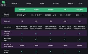 Roisea Account Types