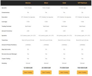 Invest Ecapitals Account Types