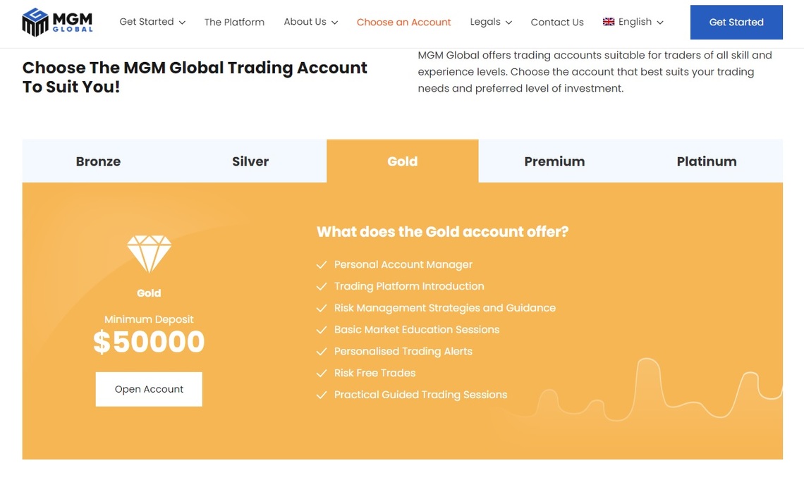 A visual breakdown of MGMGlobal' diverse account types in the review