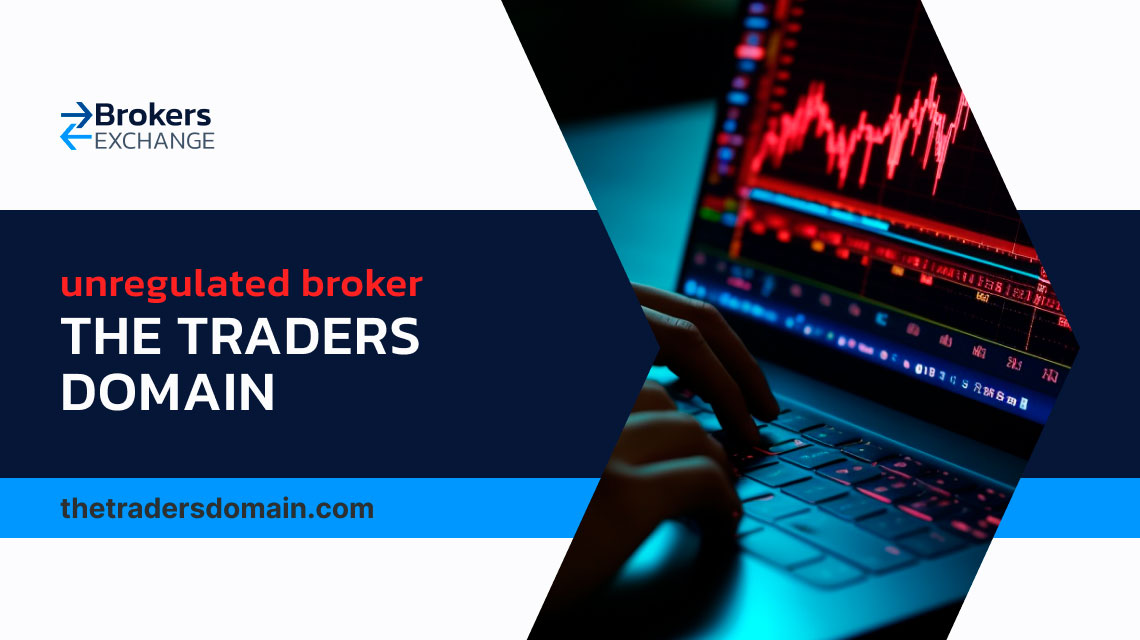 The Traders Domain Review
