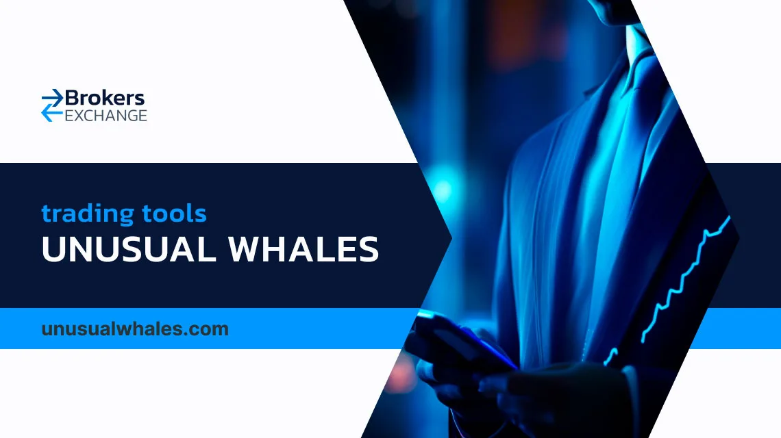 Unusual Whales Review