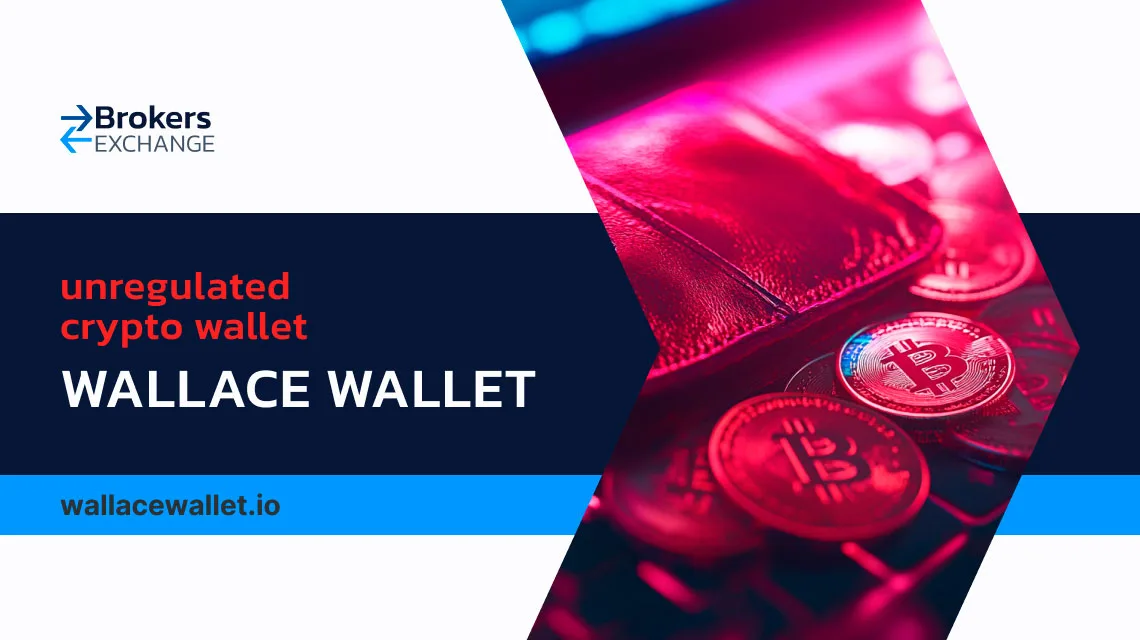 Wallace Wallet Review